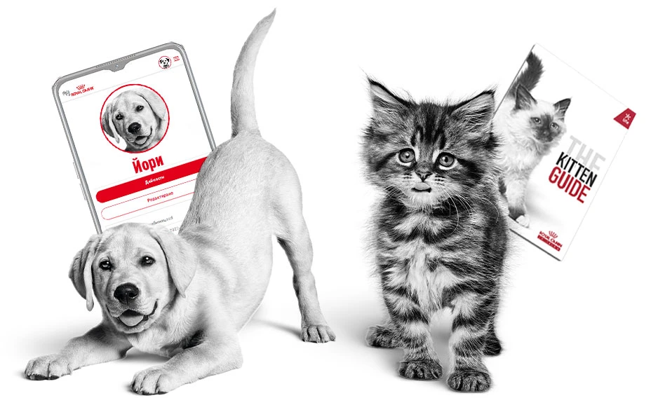 Royal Canin