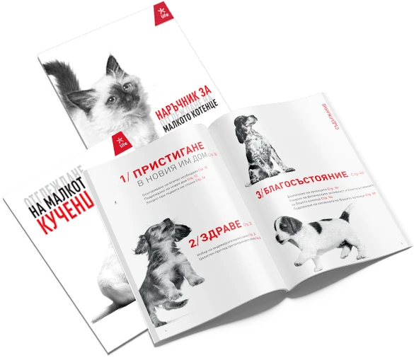 Royal Canin
