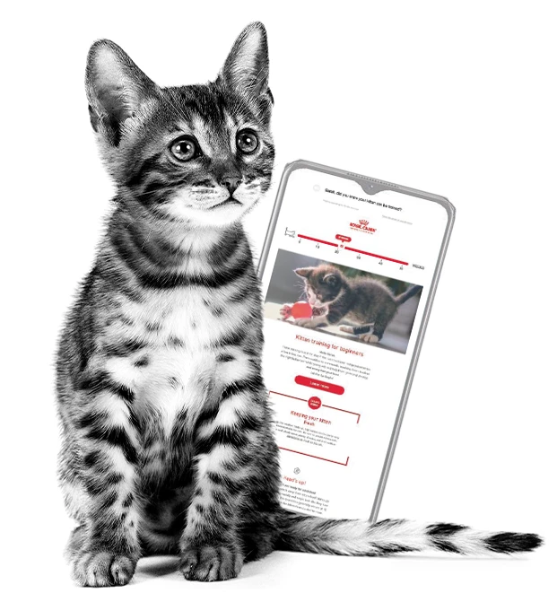 Royal Canin
