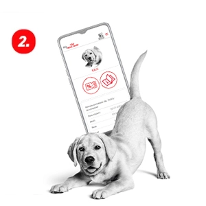 Royal Canin